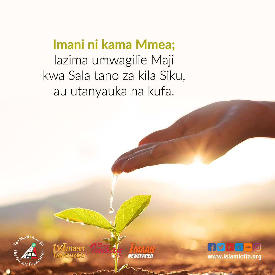 islamicftz's tweet image. #swala