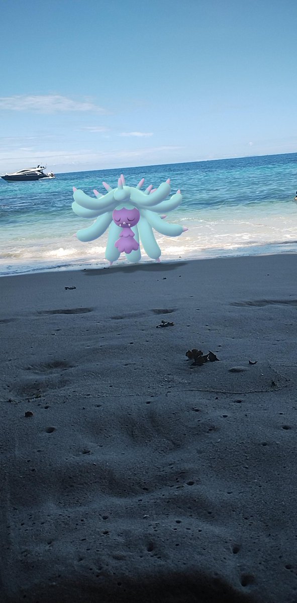 PokeTrainerMim's tweet photo. Día de playa | Parte 3 ✨🌊🌈🙌
#Gosnapshot #PokemonGo #Pokemon #Beach #Playa #sunny #AEoftheday https://t.co/dz5vMPkTpO
