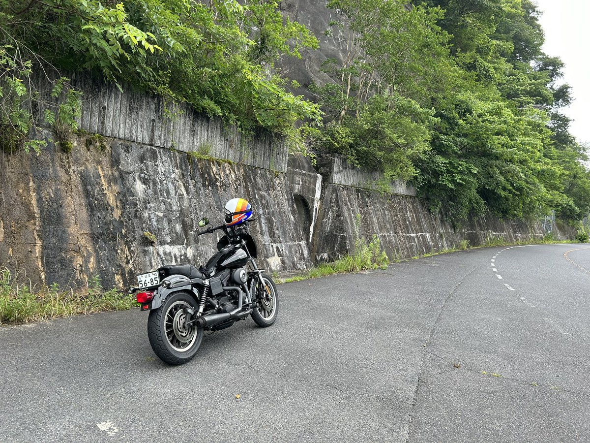 masatake252525's tweet photo. ダイナ矢作ライド
バンク角足りない
ギアは６速欲しい、もしくはハイギアード化したい

不満も吹き飛ぶ楽しさ(^^)

#fxdxt
#ダイナ
#ハーレー https://t.co/MizdteaeMD