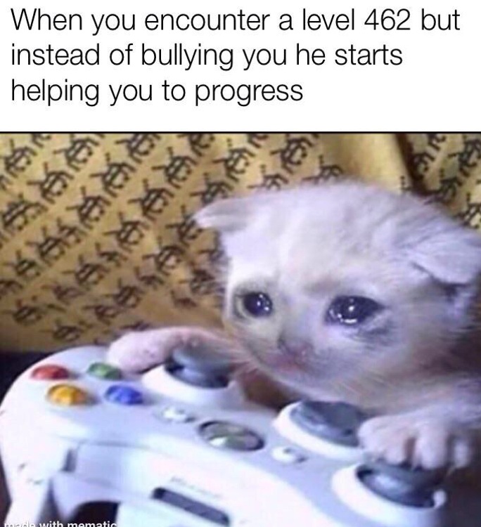 WholesomeMemes (@wholesomememe) on Twitter photo 