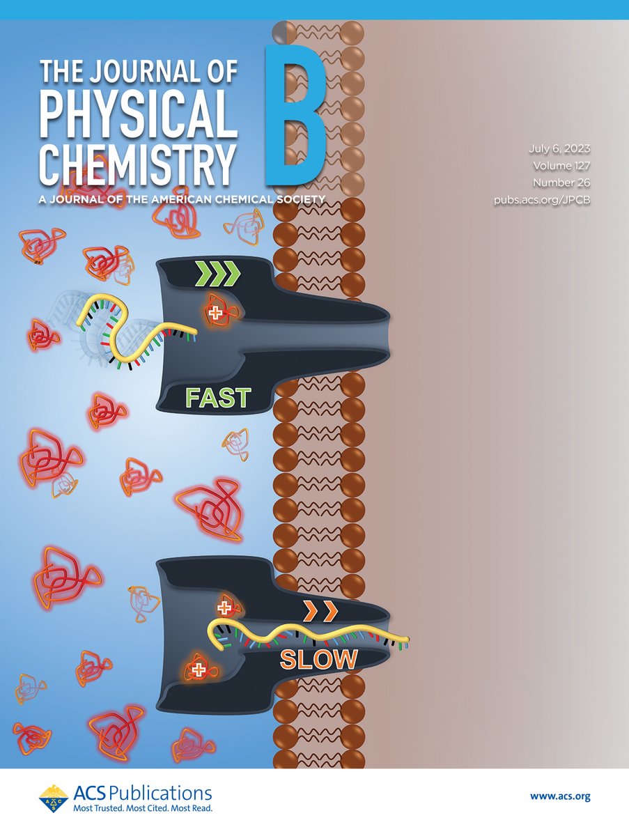 Bhawakshi Punia tweet media