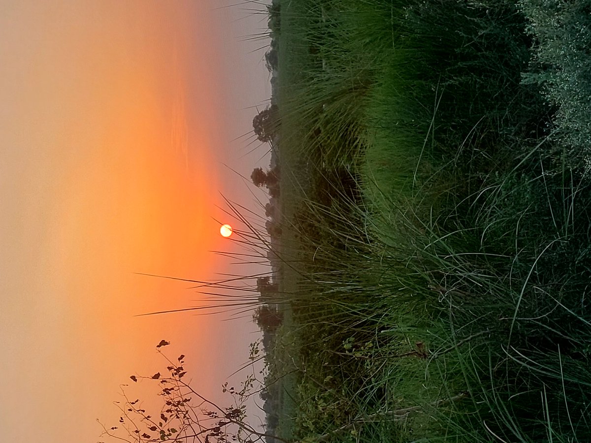 fastn4urious's tweet photo. If country life is healthful for the body, it is no less so to the  mind.
#punjabi #punjab #meraranglapunjab #countryside #nature #village #faisalabad #rural #rurallife https://t.co/6MLKZ6USru