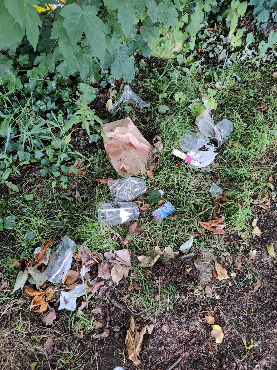 daithiquinner's tweet photo. At what point are @mcd_productions going to clean up after themselves in Marlay Park? Litter is still all over the park and windy conditions are spreading it out into the woods @dlrcc @Lettiemccarthy @OConnorOisin @kaz https://t.co/GuTK76VSHf