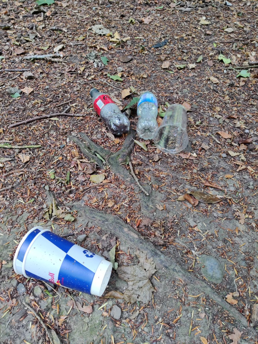 daithiquinner's tweet photo. At what point are @mcd_productions going to clean up after themselves in Marlay Park? Litter is still all over the park and windy conditions are spreading it out into the woods @dlrcc @Lettiemccarthy @OConnorOisin @kaz https://t.co/GuTK76VSHf