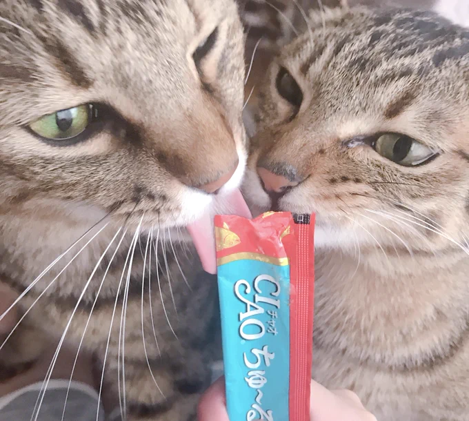 大好きちゅ〜る!!
(リストからの頂き物です🙏✨️感謝) 