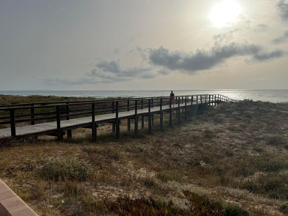 An elevated board walk in East Meath would be such an asset, continuing the cycle way from the Drogheda Ramparts. You can complete this survey to support the funding application. Thanks <a href="/sharontolan/">Cllr Sharon Tolan - Cathaoirleach of Meath</a> surveymonkey.com/r/2GQ6WMW