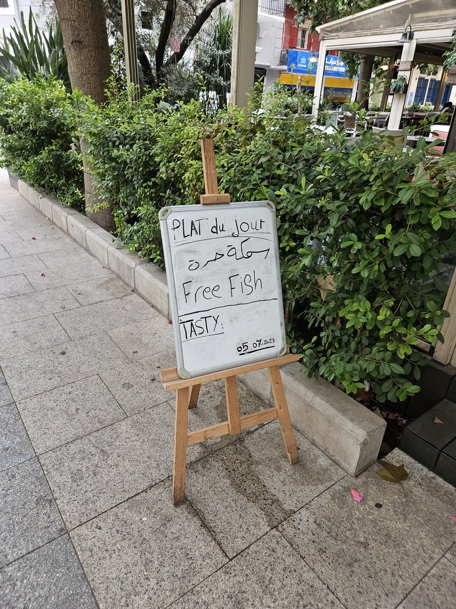fawzimalouf's tweet photo. With Google Translate now you can order your free (and even idependent) fish #LostInTranslation https://t.co/puUVMkNJW3