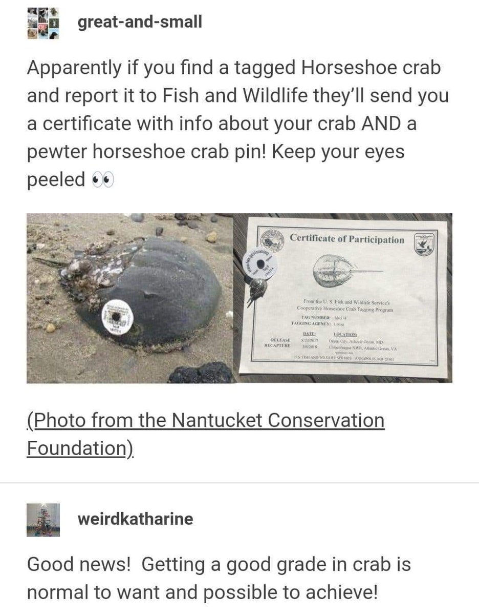 WholesomeMemes (@wholesomememe) on Twitter photo 