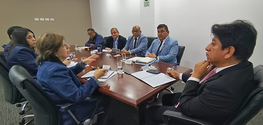 SinatemssPeru's tweet photo. En reunión con titular de la @Defensoria_Peru, representantes de la #CONASISS - @EsSaludPeru , expresaron que su objetivo es trabajar demandas transversales, para exigir el cumplimiento de los derechos laborales y económicos de sus agremiados. 
https://t.co/r0anqlDtpy https://t.co/xAKkd6ZUoZ