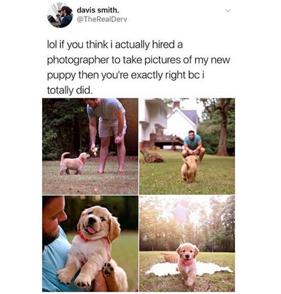 Original tweet by Davis Smith <a href="/TheRealDerv/">davis smith.</a>