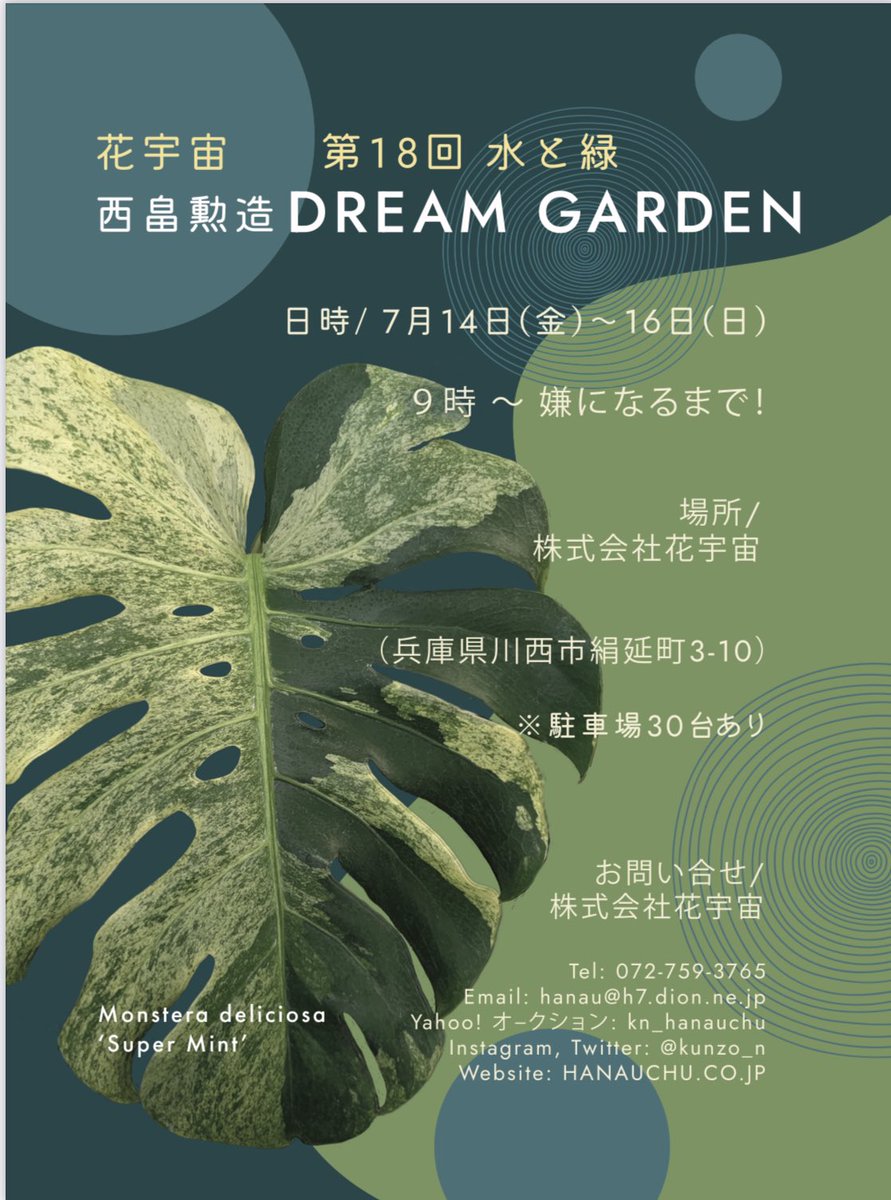 す*る様 4 モンステラ デリシオーサ イエロームーン 花宇宙 西畠勲造さん
