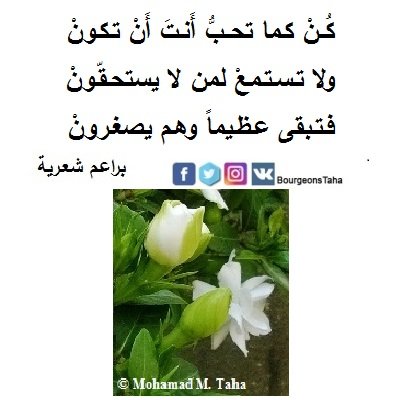 BourgeonsTaha's tweet photo. @mirna69573298 https://t.co/cIWnOFeNfS