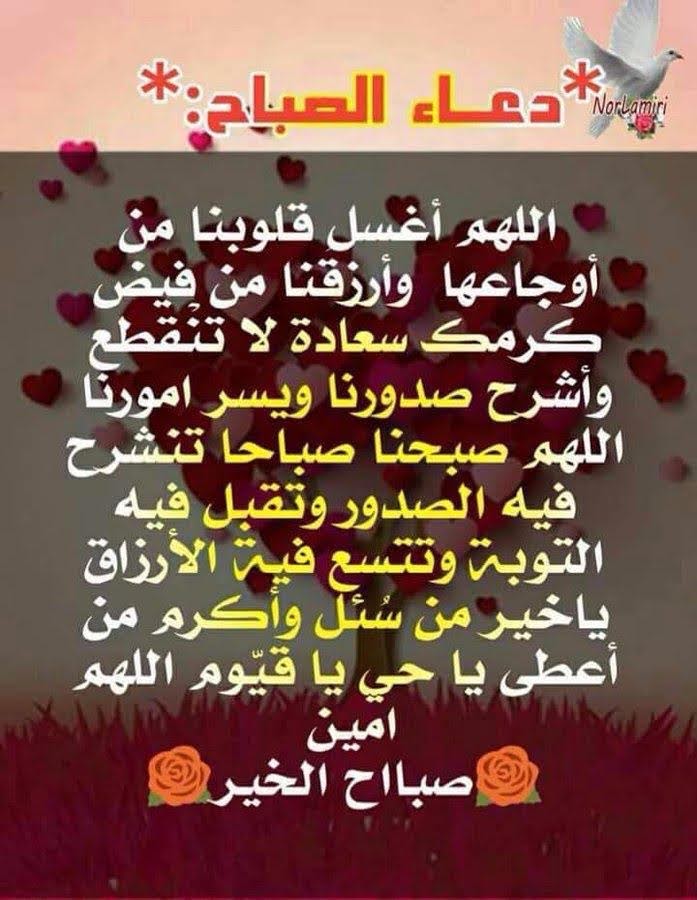 mm_6_11's tweet photo. https://t.co/jq3DbQ5Mga