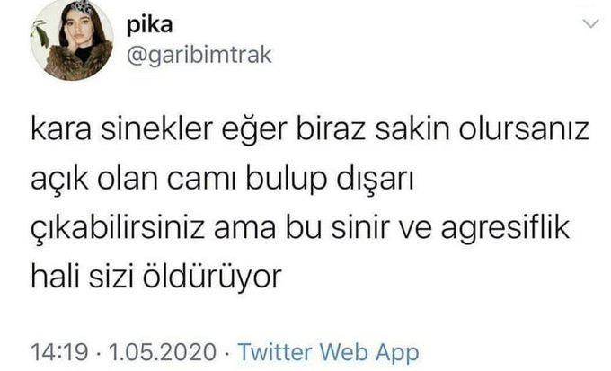 SutbetKing's tweet image. 