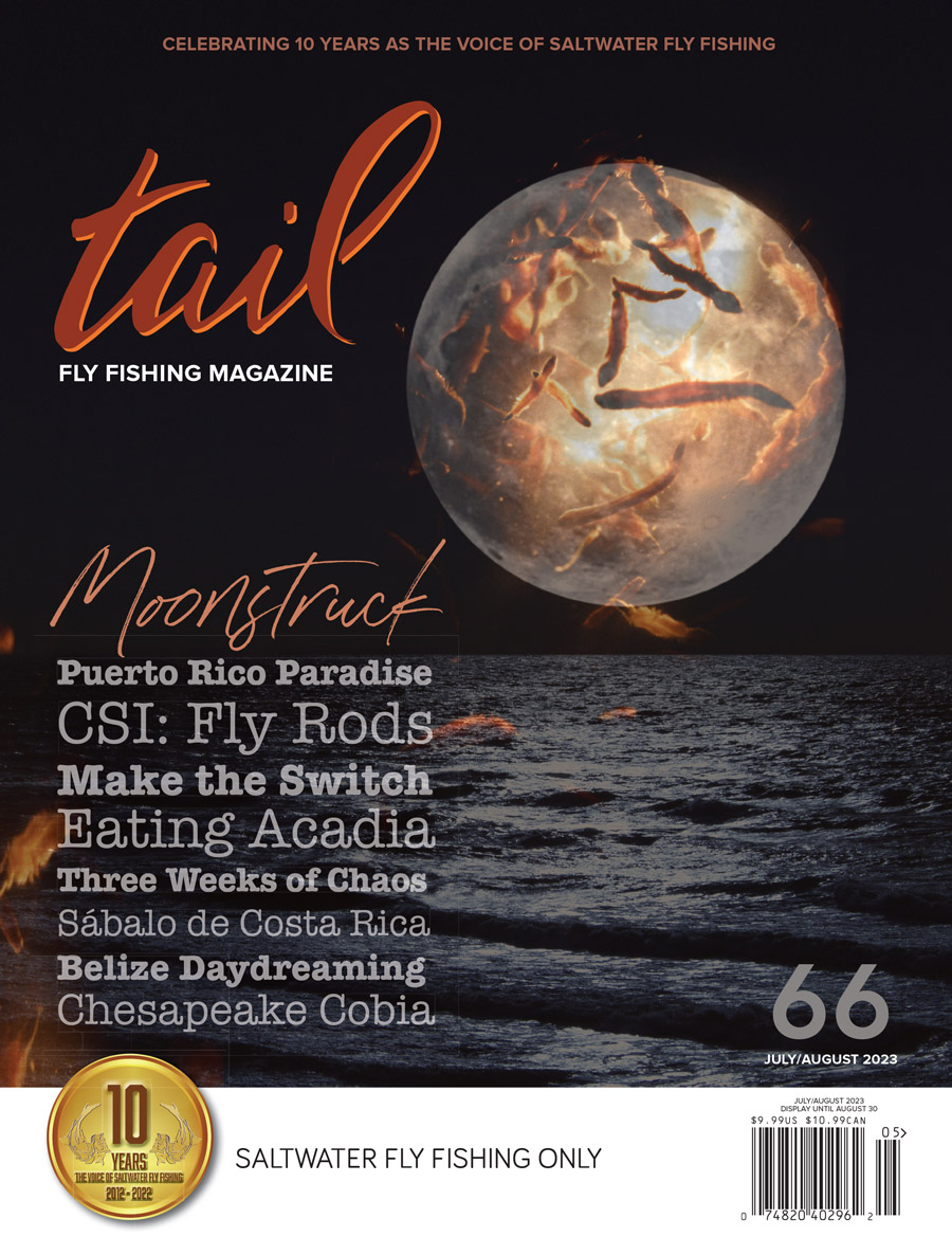 TailFlyMag's tweet photo. Issue #66 - July/August 2023 is available  now at bookstores and fly shops everywhere.  Preview the first 20 pages at https://t.co/ZeEvUtVHLW https://t.co/2AyYMHCXLC