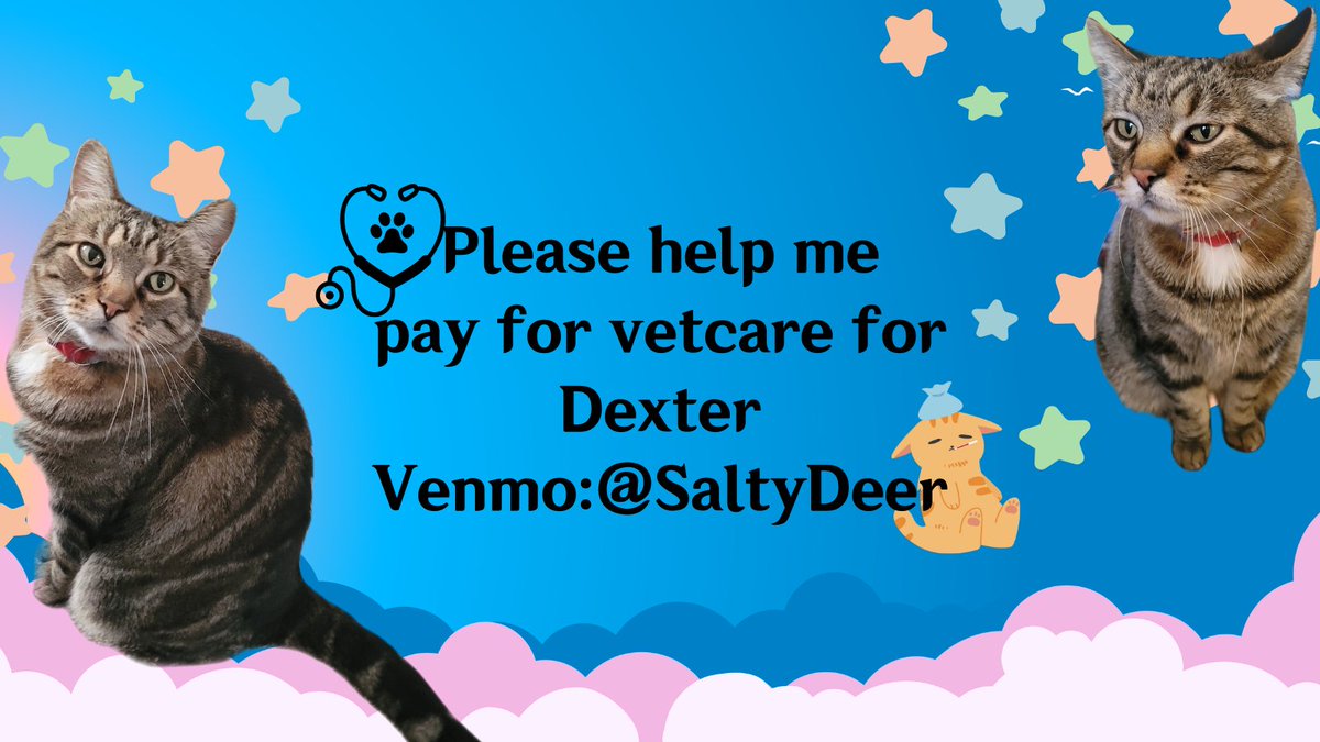 saltydeergames's tweet photo. My cat got injured and needs to see a vet, I cannot afford to help him on my own so I am asking for your help. 
My venmo: SaltyDeer https://t.co/1rauPDWcju