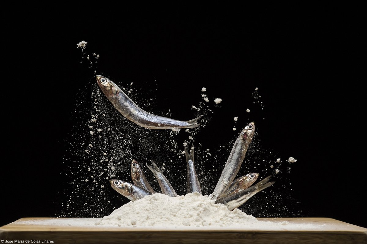 FoodPhotoAward's tweet photo. 🗓️ Only 1 month to go until take-off! On 8th August we'll open our doors for a 13th time for our 2024 edition.
💫 We have some very exciting news for this year's competition. We can't wait to share it!
📷 José María de Colsa Linares
#photographycompetition #photographycontest https://t.co/pCepwzhG9S