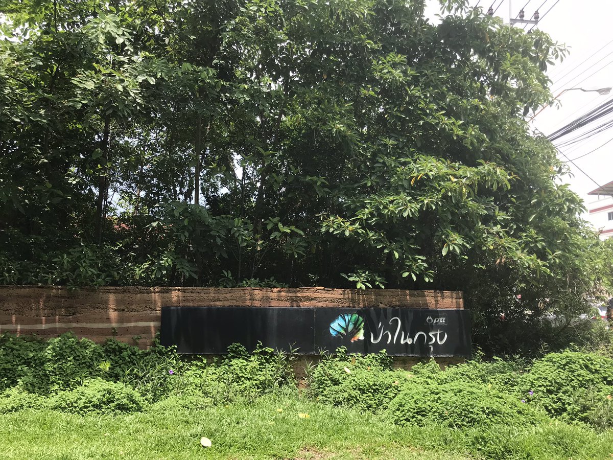 yatalin's tweet photo. รักษ์1  ป่า��นกรุง ปอดกลางกรุง 🌱🎋🌳

#อาสาพาไปรักษ์xGW
#อาสาพาไปรักษ์
#คุณช่วยเก็บเราช่วยปลูก https://t.co/JxUFNmkS1G