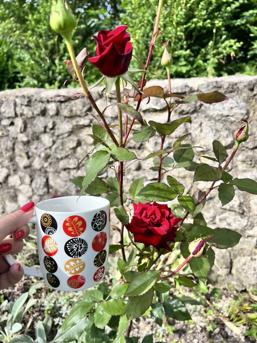 strategywoman's tweet photo. 8:54 am in Ukrainian village 

Morning from Ukraine!

The night was calm here. Only birds’ songs were my guests. I slept beautifully. 
I needed that rest. 
In a few hours we will return to Ternopil. Tomorrow, Kyiv again. 

I’ve just took some video of tractor collecting the milk in the village. Need Internet faster than a cute turtle to share with you. But who need Internet in a paradise?

Have a nice day or night