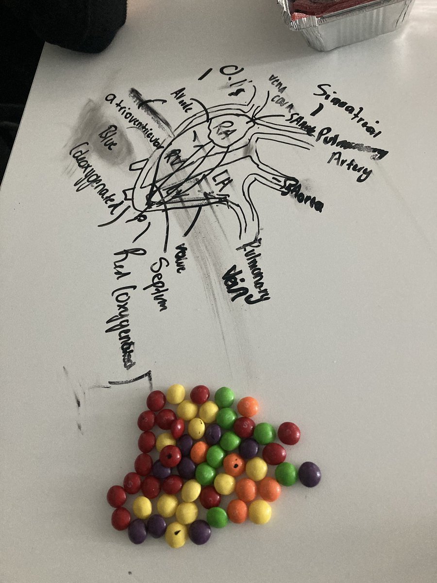 Fantastic A Level PE lesson yesterday for @sandbachcollege offer holders day. Students got to grips with the conduction system, creating their own edible models!