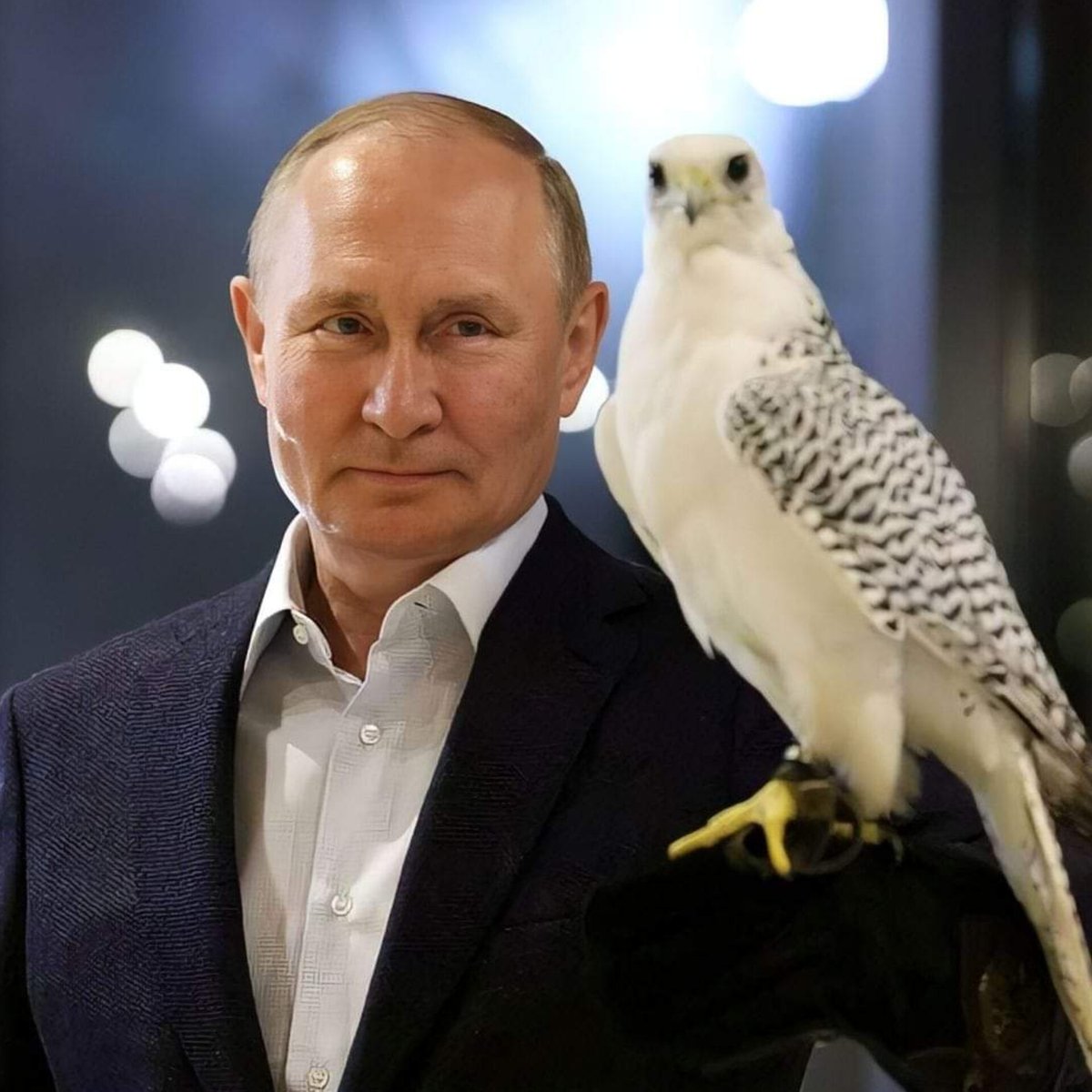 🌐geopolitics in the picture tweet media