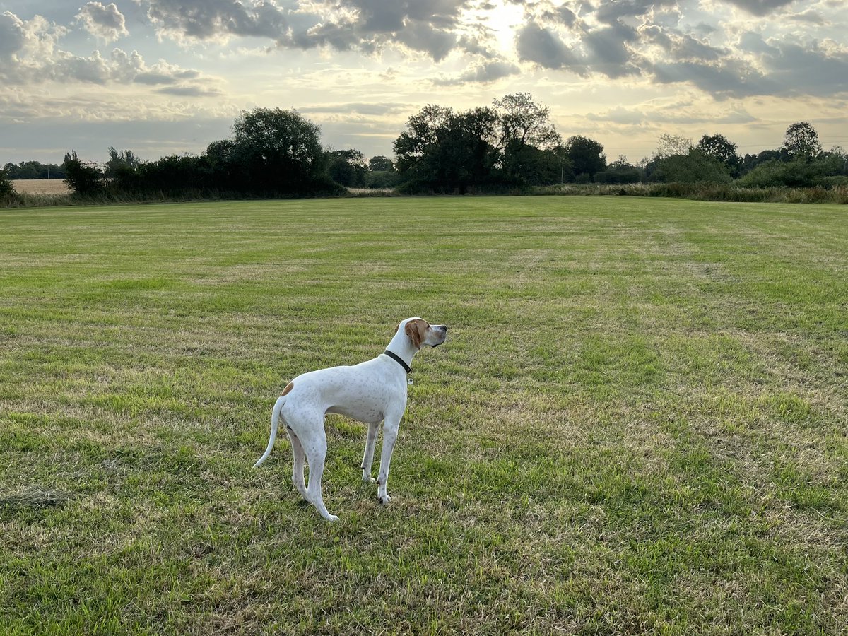 Jenny Claire McAneny-Vincent tweet media