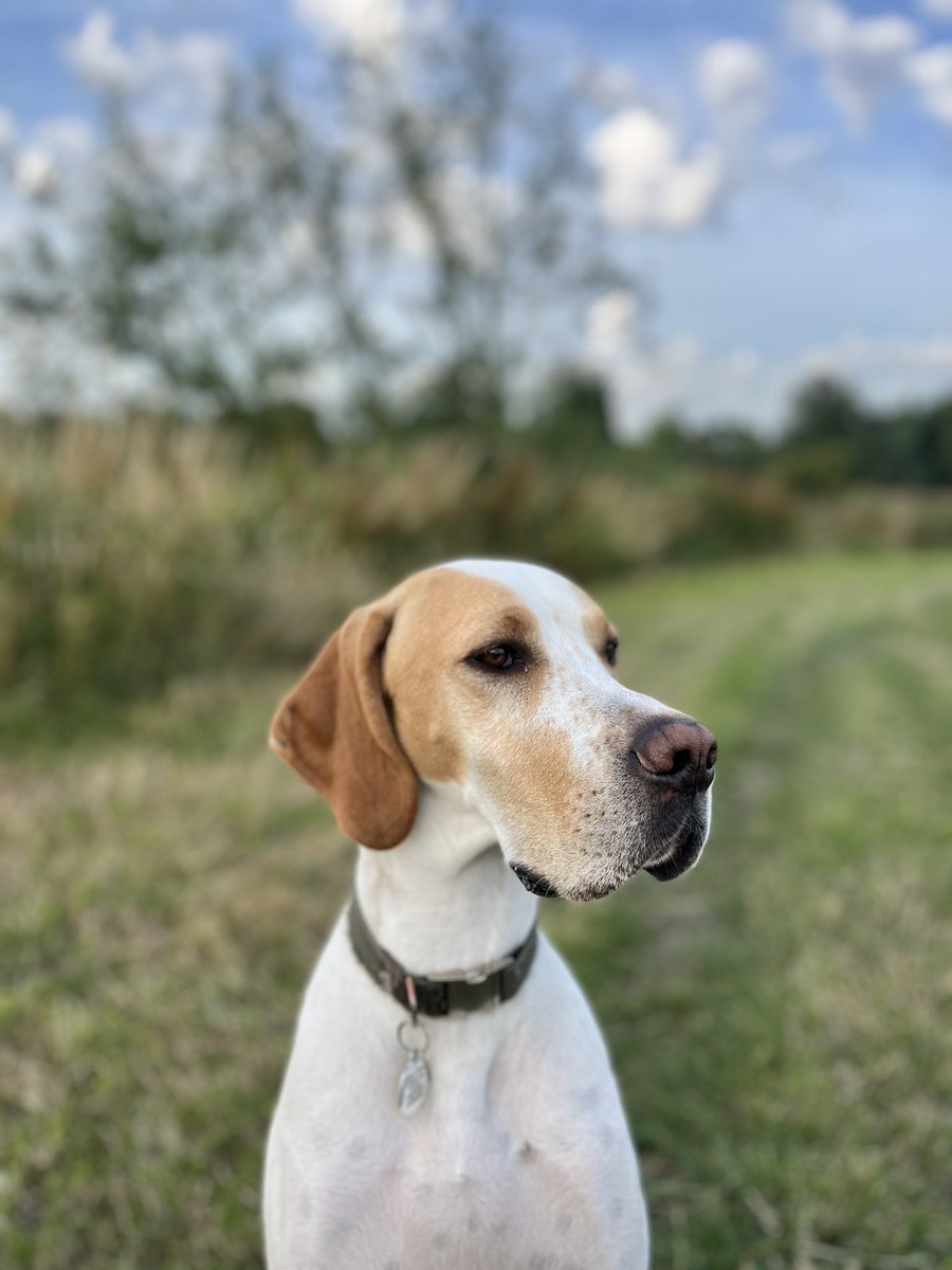 Jenny Claire McAneny-Vincent tweet media