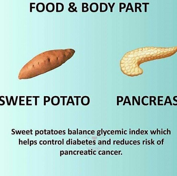 Cardio Arena on Twitter "5. Sweet Potato Pancreas https//t.co