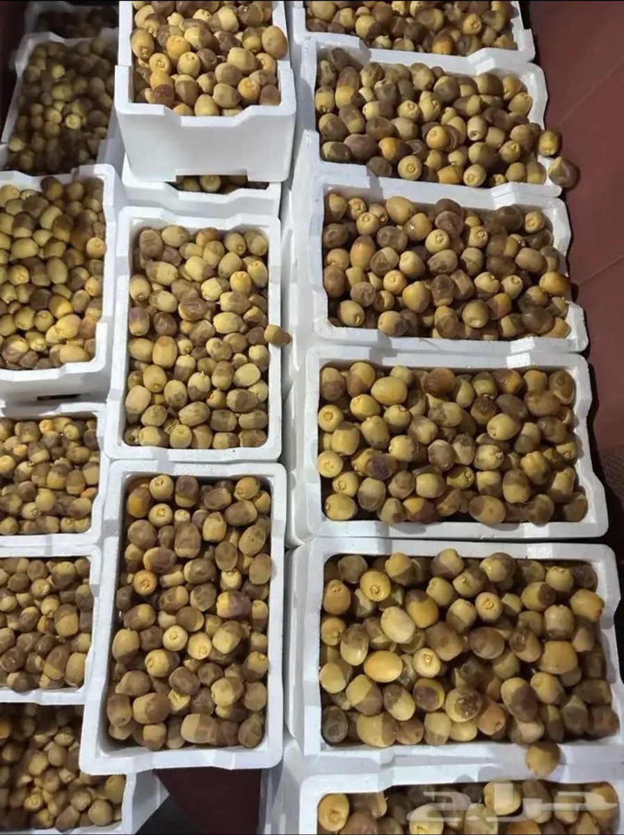 Panunkashmer's tweet photo. Fresh Dates... https://t.co/TdGuYYbJV0