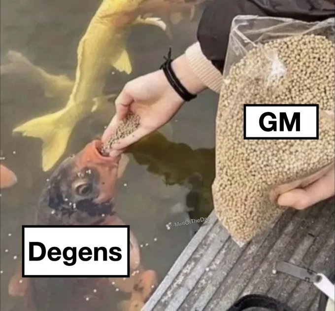 Gmgm fam! Have a good one 🫡🏴‍☠️
#CryptoCommunity
#BlockchainTechnology