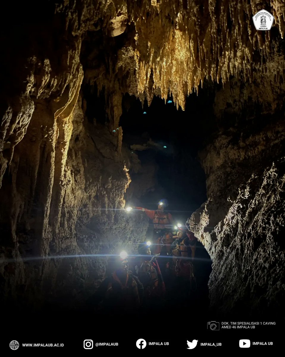 impalaub's tweet image. Semoga materi yang didapatkan bisa bermanfaat dan dapat menjadi bekal untuk berkembang lebih baik lagi kedepannya.

BRAVO!

#IMPALAUB #mapalaindonesia #mapala #mapalamalang #universitasbrawijaya #pencintaalamindonesia #goa #cave #caving #penelusurangoa #tuban #vertikal