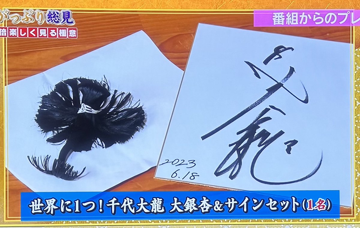 千代大龍