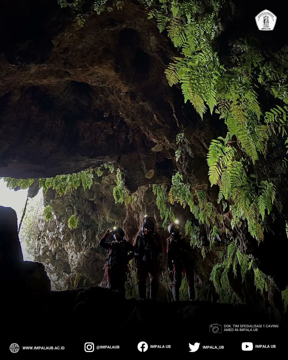 impalaub's tweet image. Semoga materi yang didapatkan bisa bermanfaat dan dapat menjadi bekal untuk berkembang lebih baik lagi kedepannya.

BRAVO!

#IMPALAUB #mapalaindonesia #mapala #mapalamalang #universitasbrawijaya #pencintaalamindonesia #goa #cave #caving #penelusurangoa #tuban #vertikal