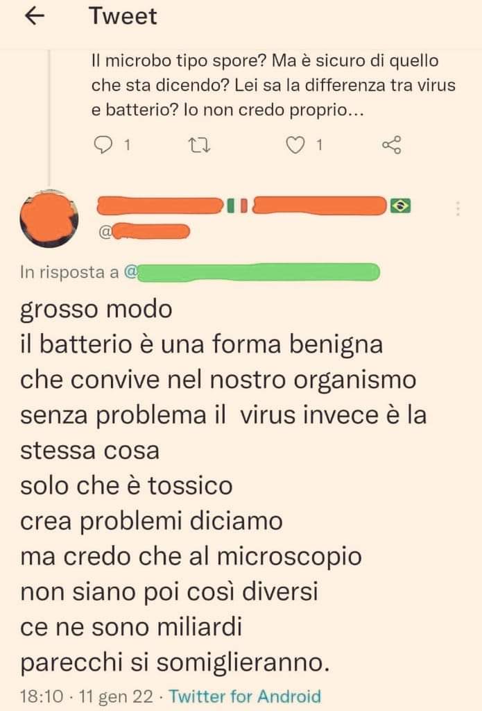 Alice Rotelli tweet media