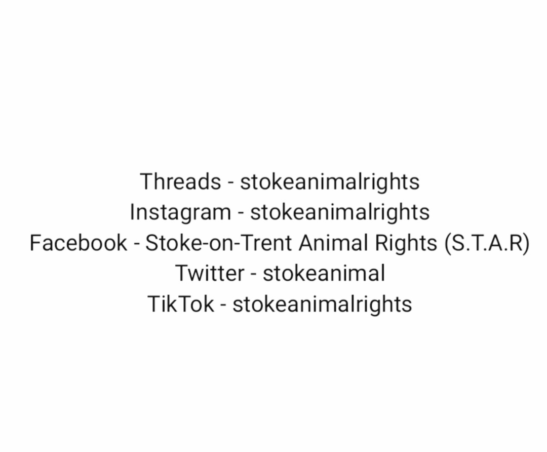 StokeAnimal's tweet photo. You can find us here too 👇 https://t.co/IqLmWQ1huW