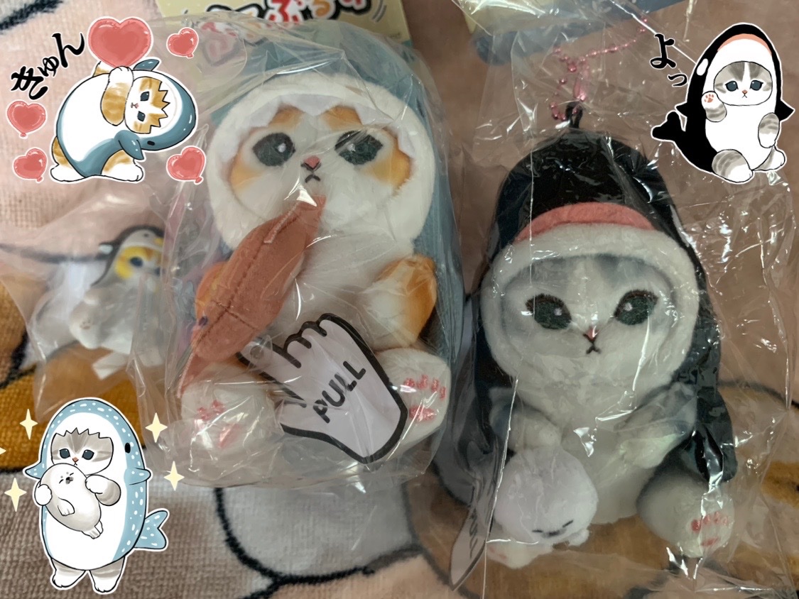 Hana_maron_2525's tweet photo. 幸せ♡ #もふもふBOOKSTORE 市内には取り扱い店舗無かったから高速飛ばして買いに行きました✨
ティッシュも発見♡
先週はまだ持って無かったぶるぶるずを発見💡買っちゃうよね〜♡
@mofu_sand
#marimocraft
#もふもふBOOKSTORE https://t.co/V4vOaIgjjR