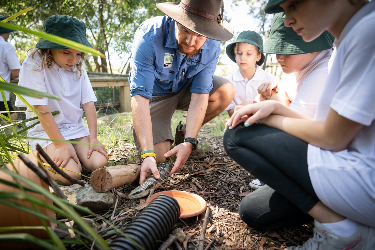 Ben Stepkovitch tweet media