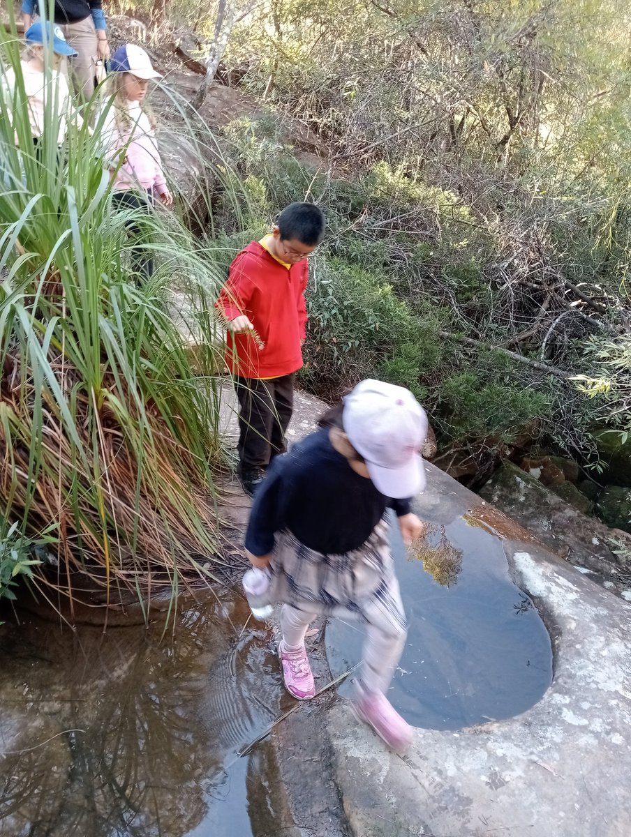 Ben Stepkovitch tweet media