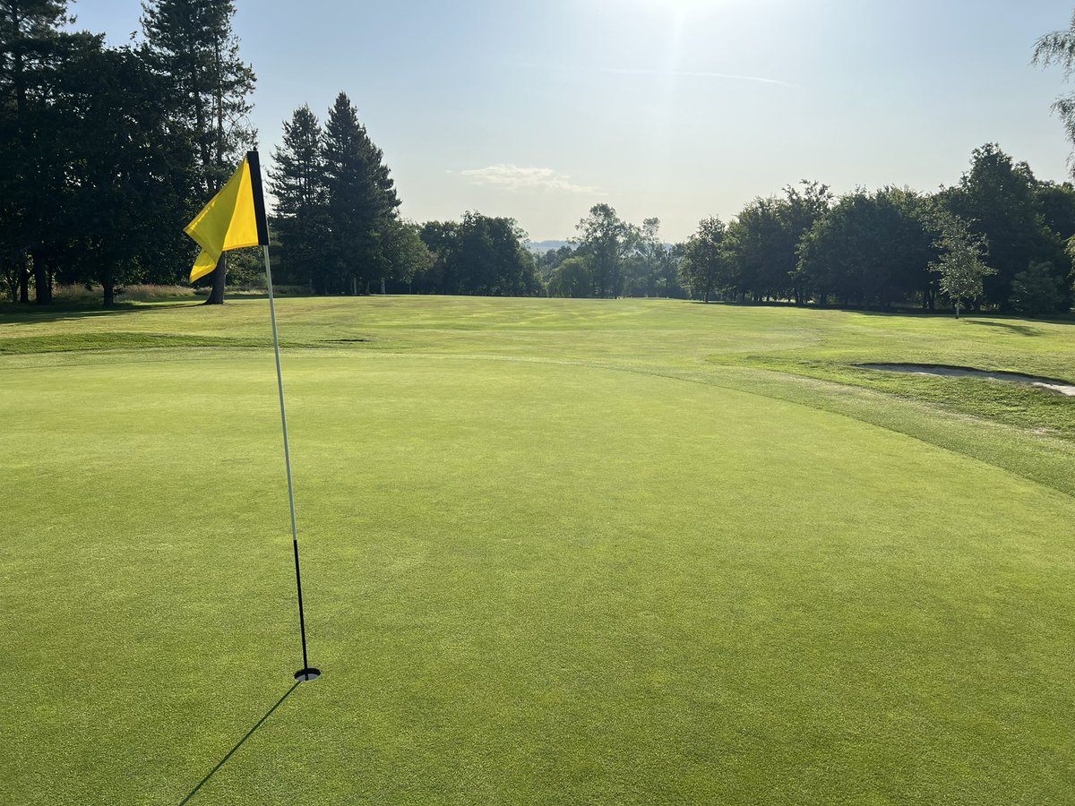 Wellingborough GC tweet media