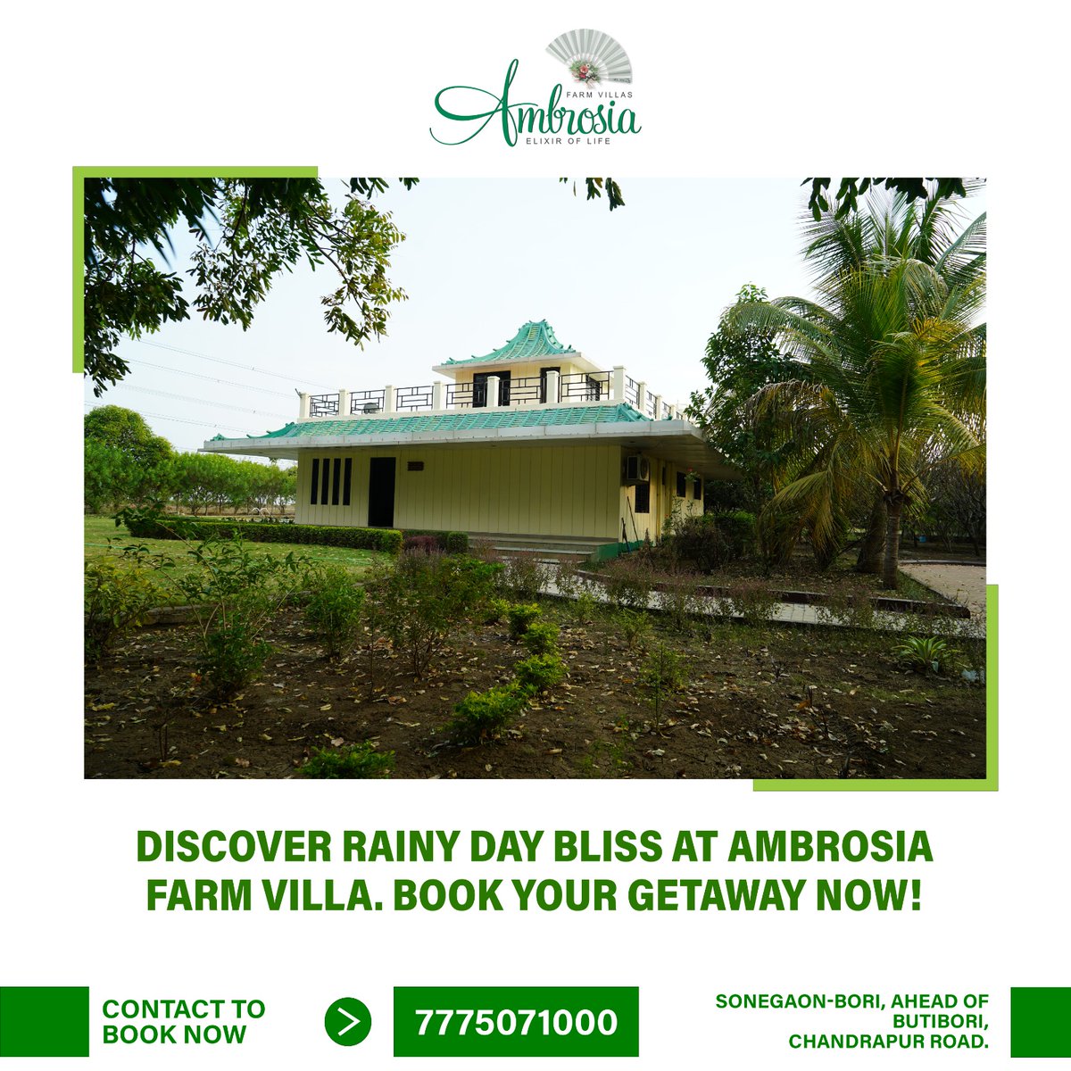 Discover a haven of rainy day bliss, where serenity meets nature's dance.😍🍀

☎ Contact
👉7775071000

#RainyDayBliss #AmbrosiaFarmVilla #NatureRetreat #SerenitySeekers #EscapeTheStorm #RainyDayMood #NatureLovers #PeacefulParadise #nagpur #nagpurcity #nagpurbuzz #vacationhome