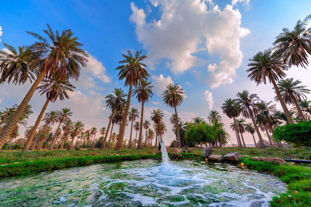 alsheikhphoto's tweet photo. @raedaahmedrr #الاحساء 
@VisitSaudiAR
#صيف_السعودية 
#روح_السعودية 
#لاتروح_بعيد 
#VisitSaudi 
#RethinkSummer https://t.co/pClmQBULba