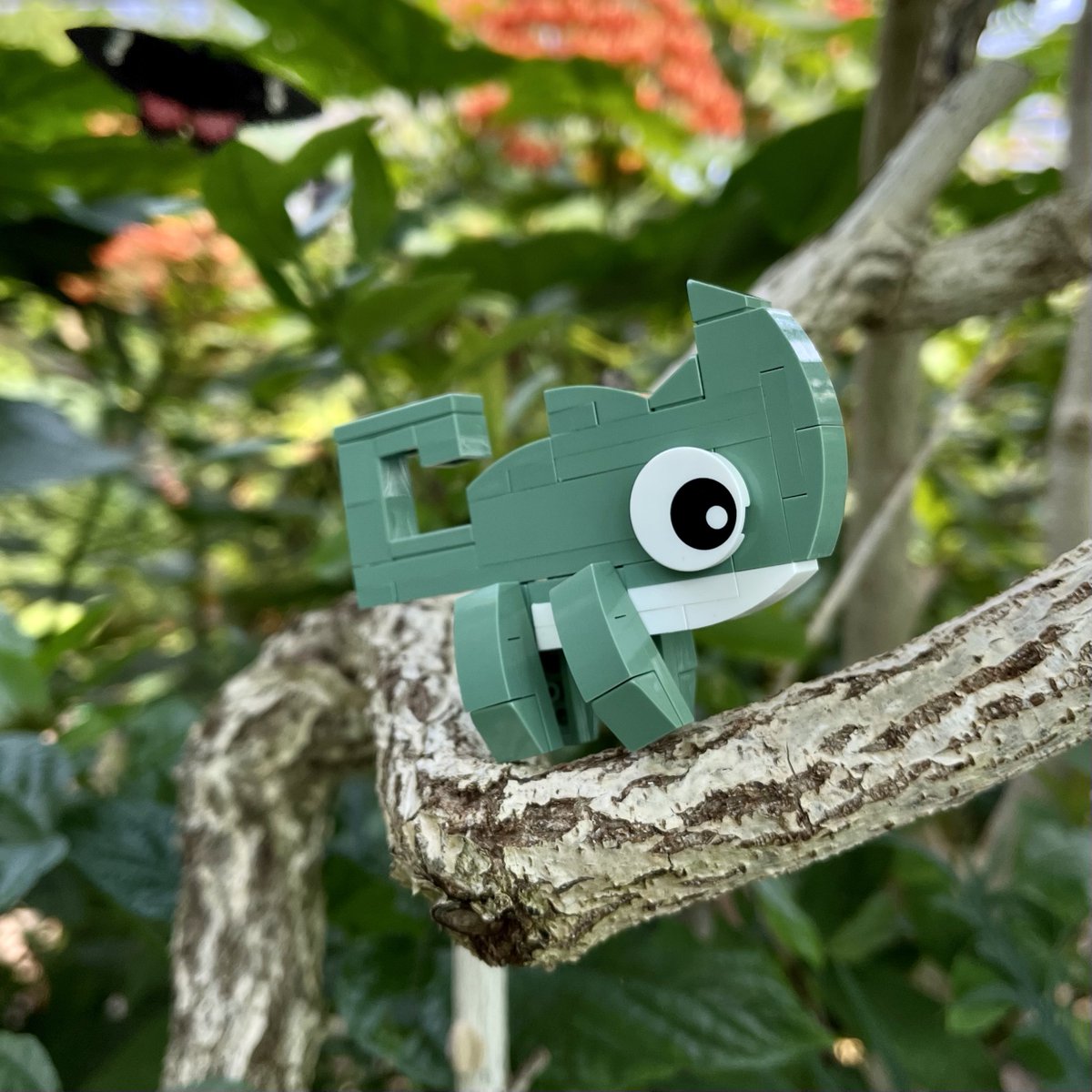 PisangG23's tweet photo. GM GM Todayβs balancing act.
Enjoy the weekend ! π± π
#TinyTroubles #LOAS #chameleon #LEGO #BUIDL #touchtree https://t.co/Yo7v7lH9Tt
