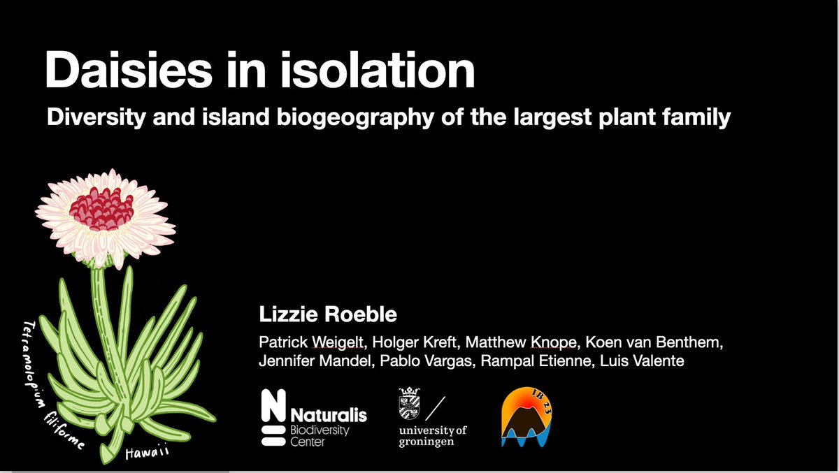 Thank you 🙏 So nice to present the first chapter of my phd and our work on how cool asters are on islands 🌼🏝️