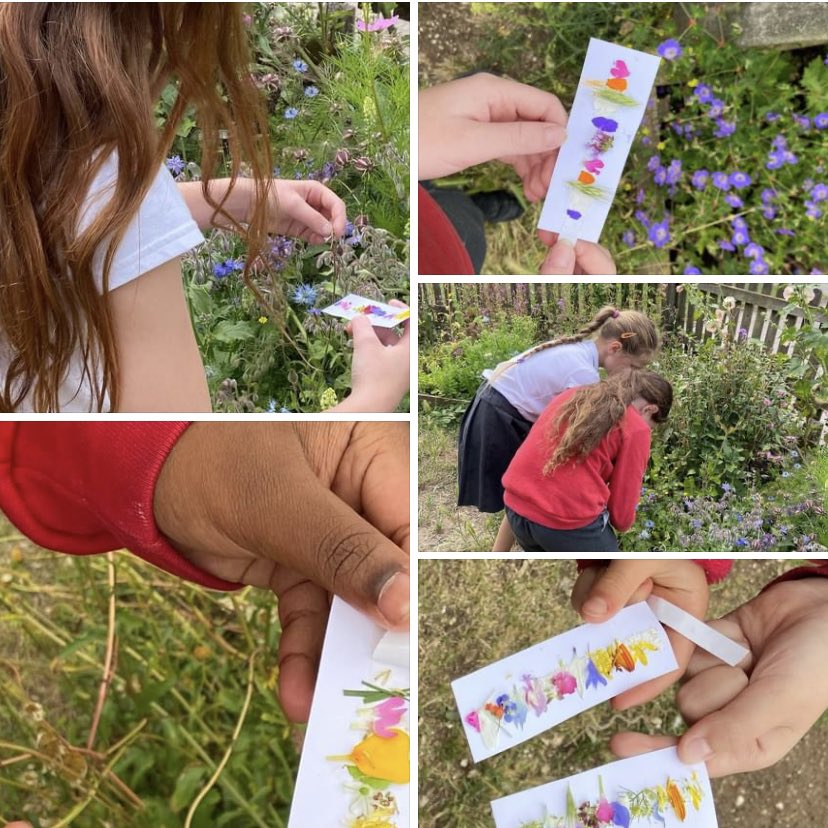 Such a lovely session at OllyB #natureupclose #schoolgardens #hampshiregardenstrust