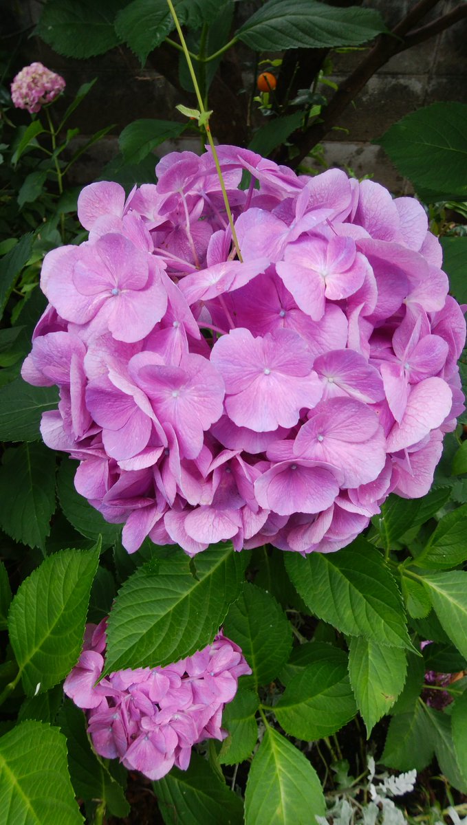 今日は小雨がパラついていたが何とかテニスできた。調子がいいのか悪いのか足はトレーニングの成果で良く動いたがダッシュ力が今一だ課題。どうもいいスイングができな　かった、打点が悪いのか構えが悪いのか遅いのか体重移動ができていないのか？　微妙！

女性高額収入 
 taa1341.web.fc2.com/ad3.html