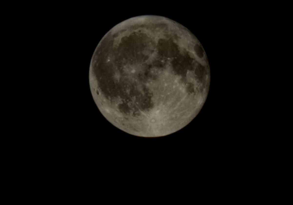 MarxWasACon's tweet image. #MITAM
SAMSUNG phone camera.