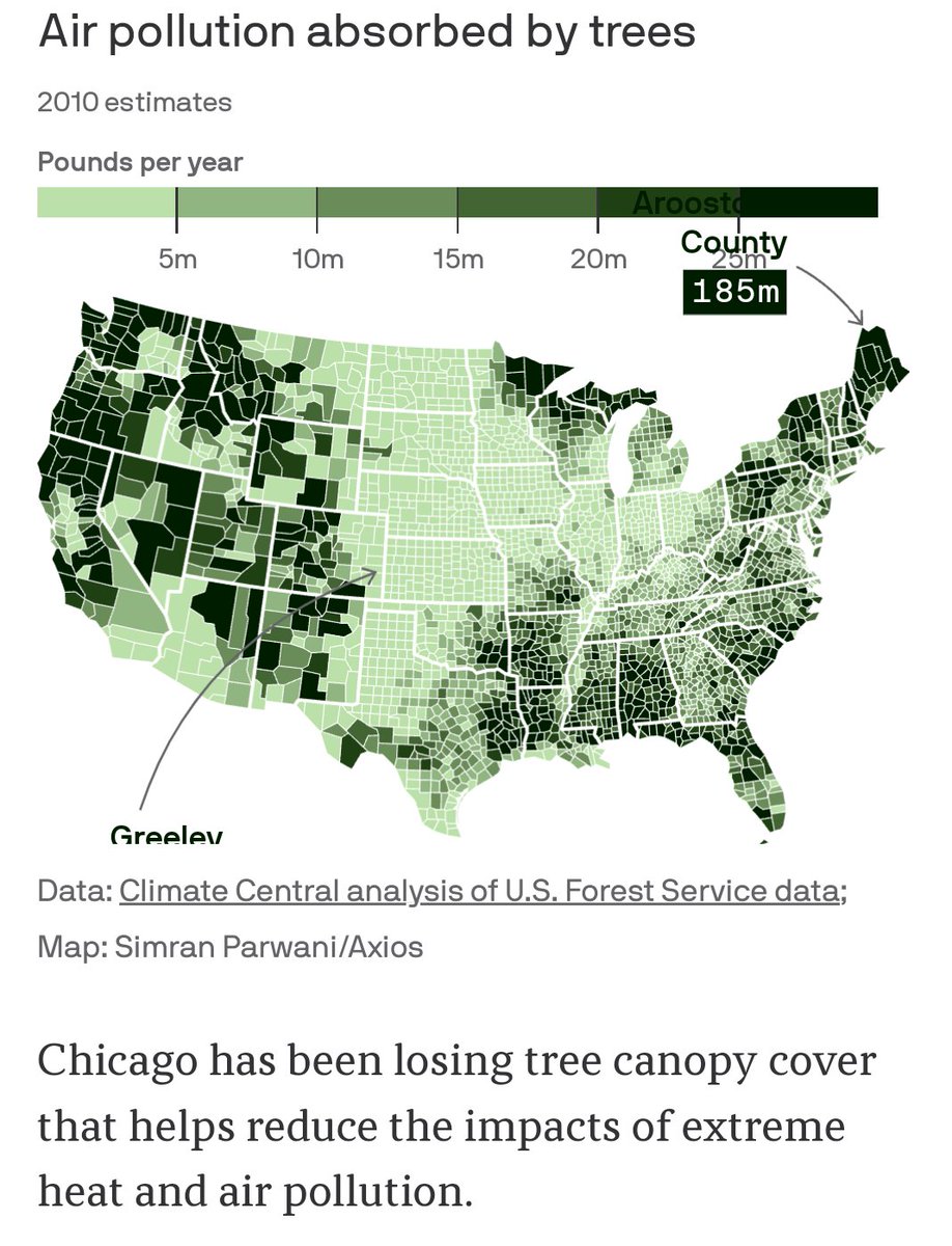 Speaking4Trees's tweet photo. Does Chicago have a death wish?
"Chicago's tree canopy covered just 16% of the city's land in 2020, trailing behind New York & Los Angeles." In 2021, the Obama Foundation cut down 360 mature trees, with an additional 350 big trees being cut down over the next 3 to 5 years to expand LSD. 
Why do we care?
"Researchers analysed 𝗽𝗿𝗲𝗺𝗮𝘁𝘂𝗿𝗲  𝗺𝗼𝗿𝘁𝗮𝗹𝗶𝘁𝘆 in cities. High temperatures caused 6,700 premature deaths in these cities. 39.4% of these deaths could have been prevented by 𝗶𝗻𝗰𝗿𝗲𝗮𝘀𝗶𝗻𝗴 𝘁𝗿𝗲𝗲 𝗰𝗼𝘃𝗲𝗿 𝘁𝗼 𝟯𝟬%." 
In addition, "Mature trees, not saplings, sequester ~240 pounds of C02 yearly."
#DepaveLSD

https://t.co/S0tB5oE8ip

https://t.co/jJeOkA0pNJ

https://t.co/Cn0v9eMbfn