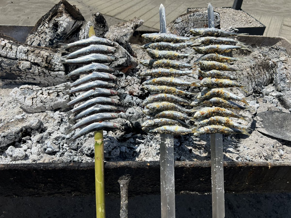 Los asados al espeto malagueños. Cata ciega de sardinas en espetos metálicos y de caña en el chiringuito  #elsaladero. ¿Cuáles resultaron  mejores?  Un sistema ancestral de los pescadores que aspira a ser declarado Patrimonio Inmaterial de la Humanidad. elpais.com/gastronomia/ga…