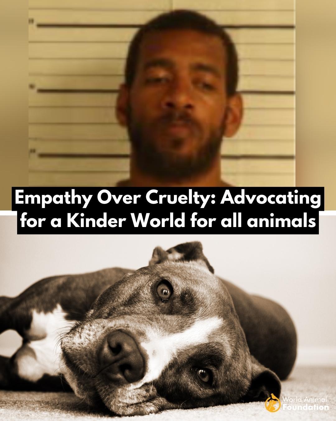 World Animal Foundation on Twitter: "An unimaginable act in #Memphis: A
