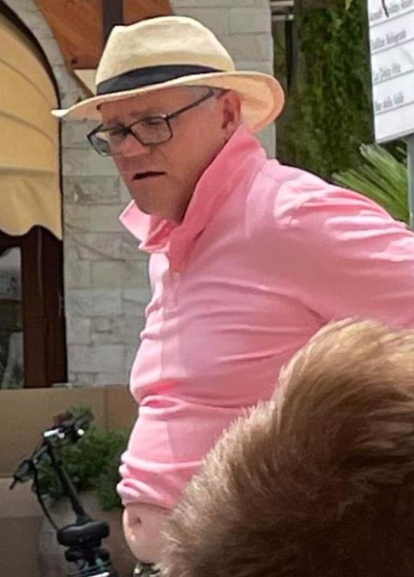 Fiona Adorno tweet media